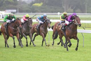 Lincoln Blue (NZ) winning the Wellington Stakes
